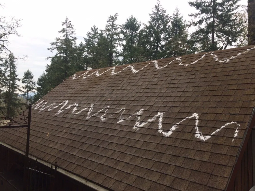 Slide of Moss-N-More