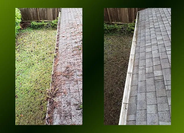 Slide of Moss Patrol