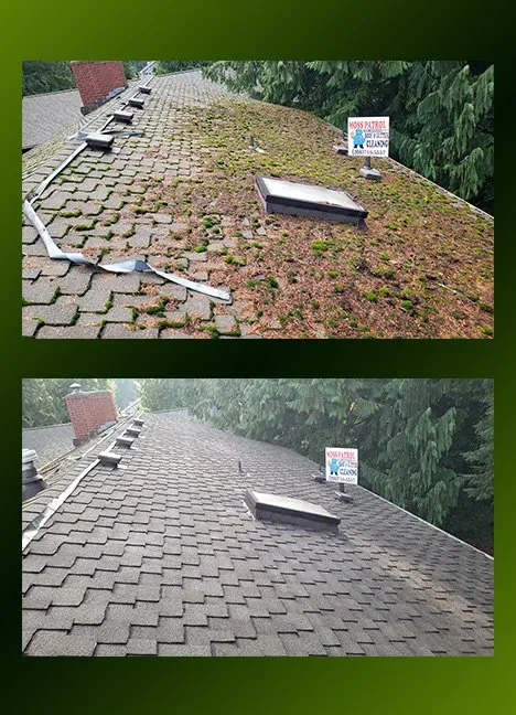 Slide of Moss Patrol