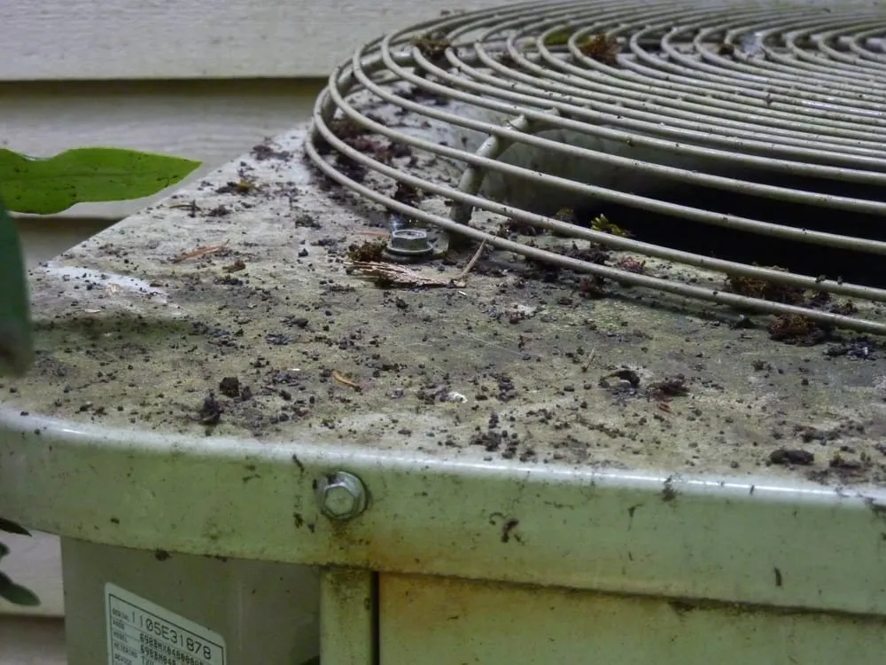 Slide of Moss Patrol