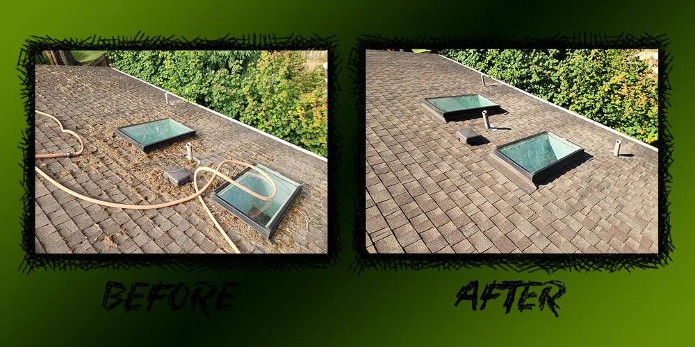 Slide of Moss Patrol