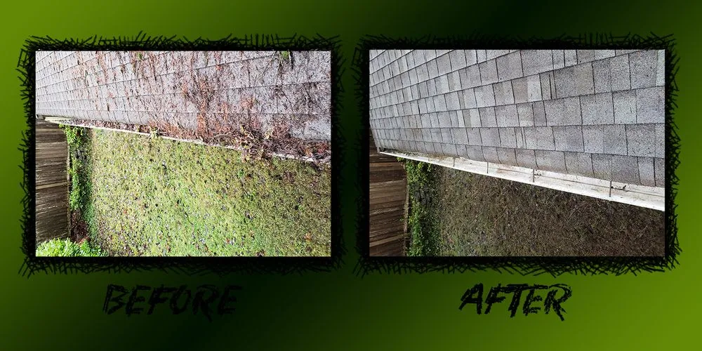 Slide of Moss Patrol