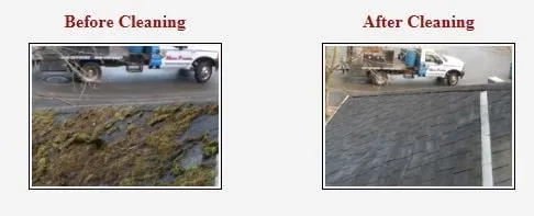 Slide of Moss Patrol