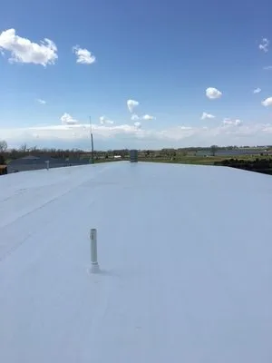 Moss Roofing & Insulation