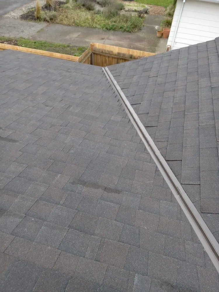 Slide of Moss Roofing Solutions
