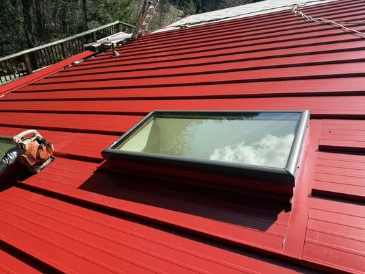 Moss Roofing Solutions