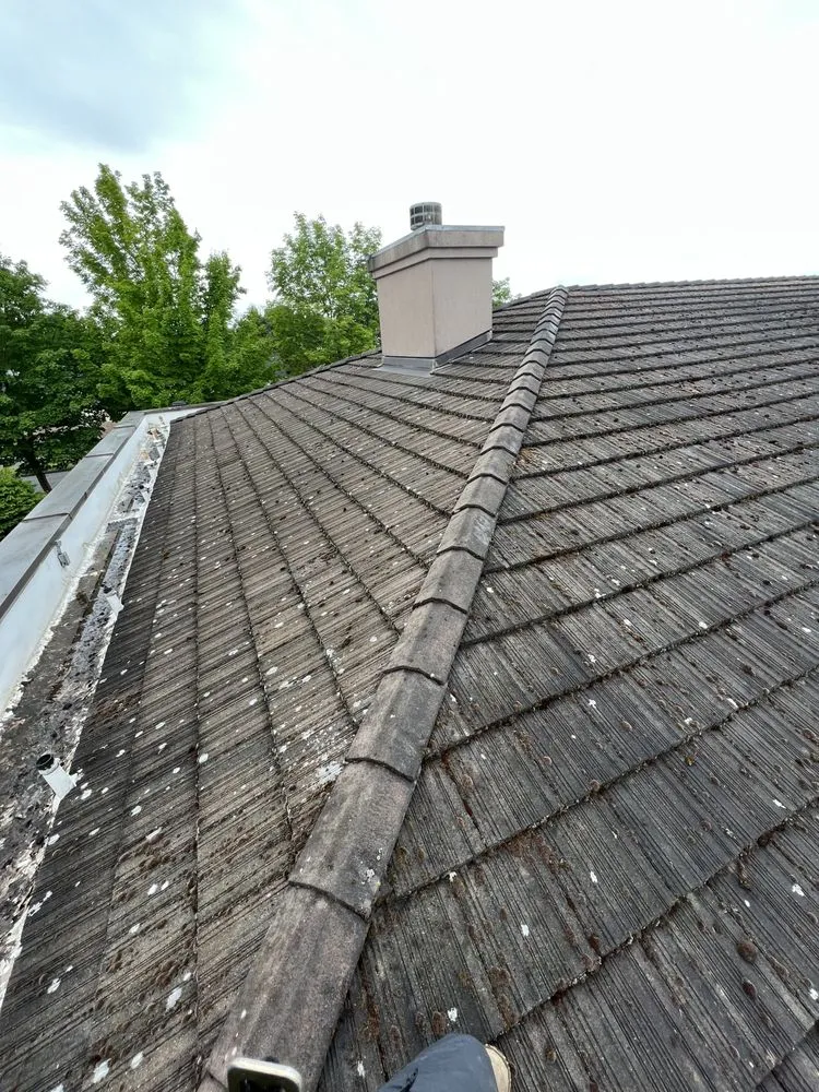 Slide of Moss Solutions