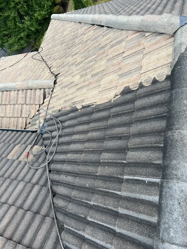 Slide of Moss Solutions