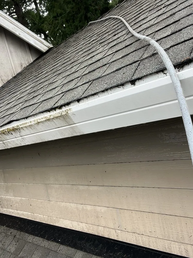 Slide of Moss Solutions