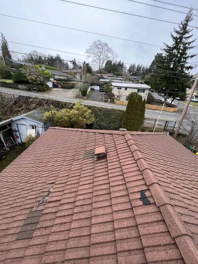 Slide of Moss Solutions