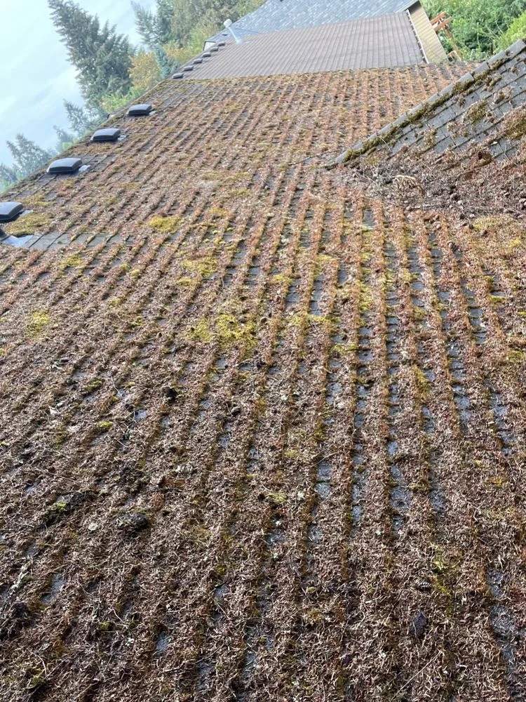 Slide of Moss Solutions