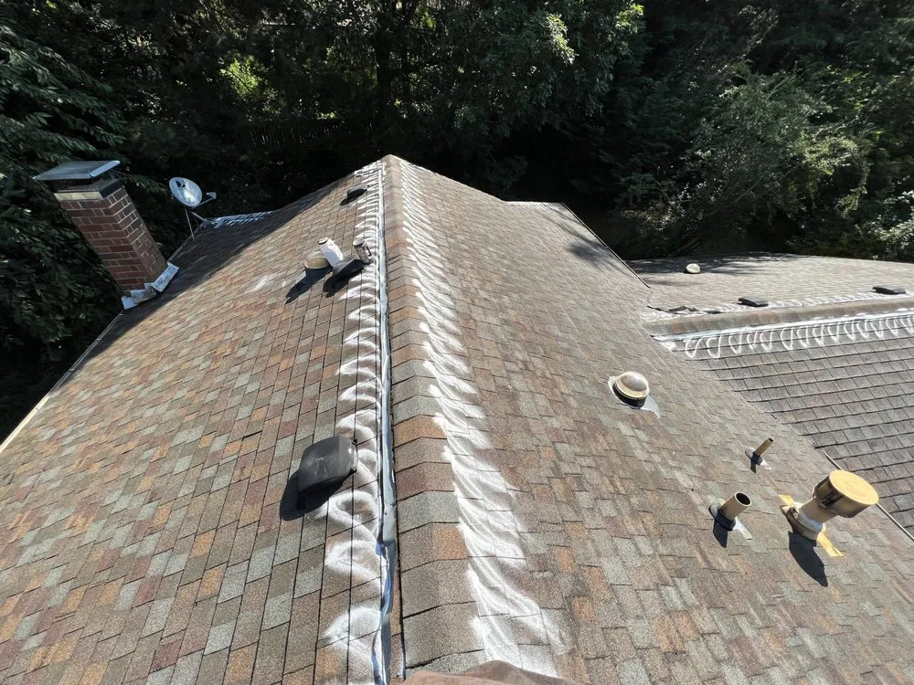 Slide of Moss Solutions