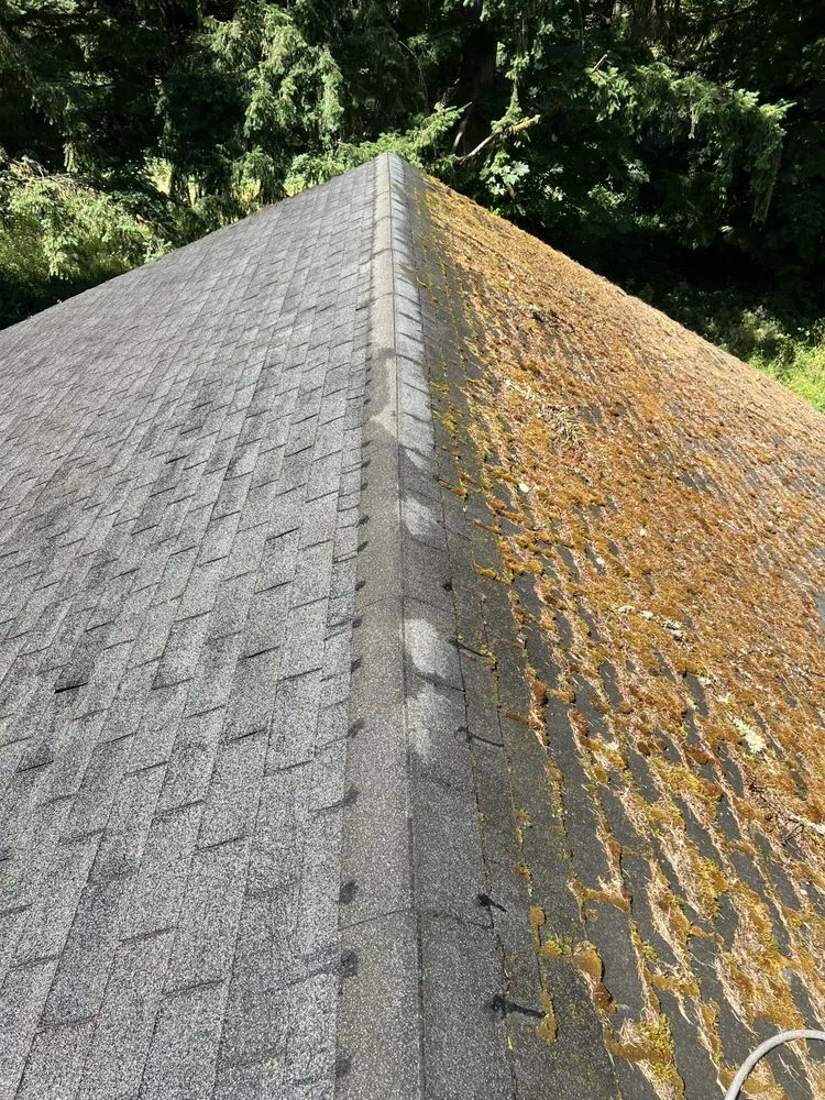 Slide of Moss Solutions