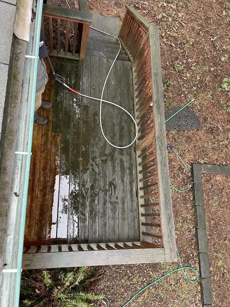 Slide of Moss Solutions