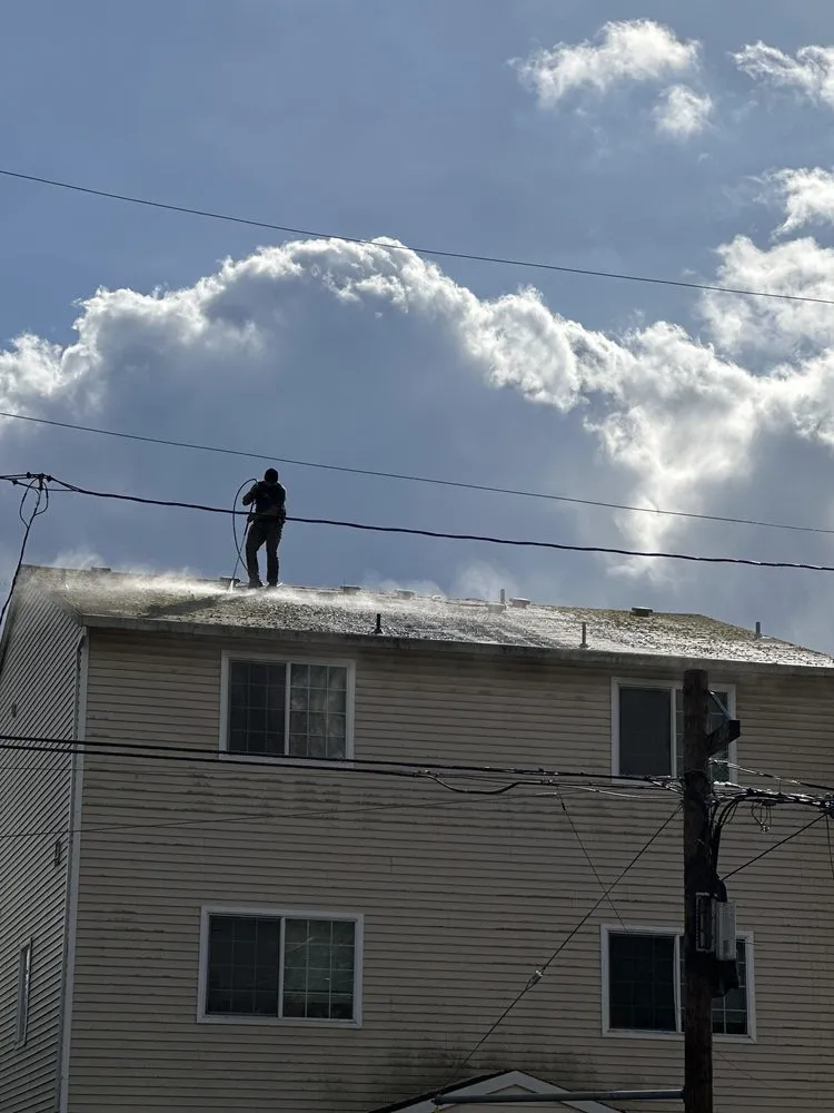 Slide of Moss Solutions