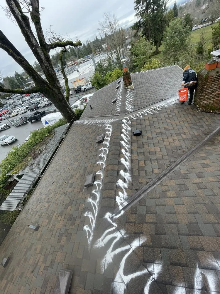 Slide of Moss Solutions