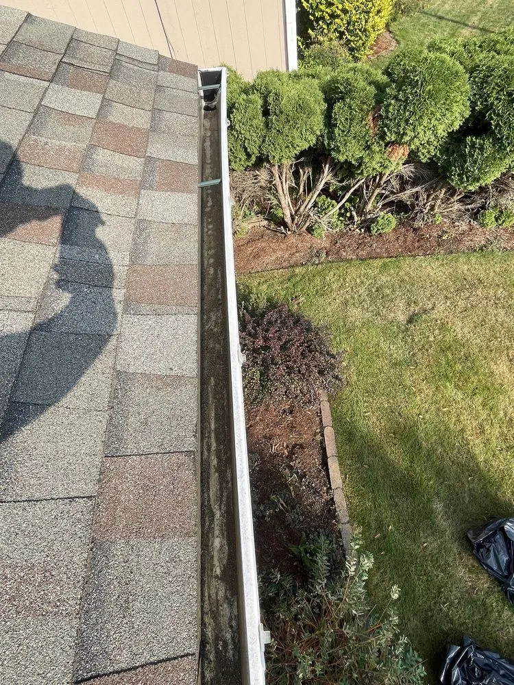 Slide of Moss Solutions