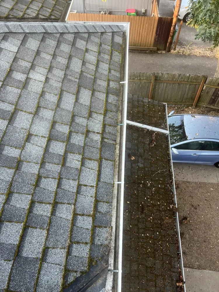 Slide of Moss Solutions