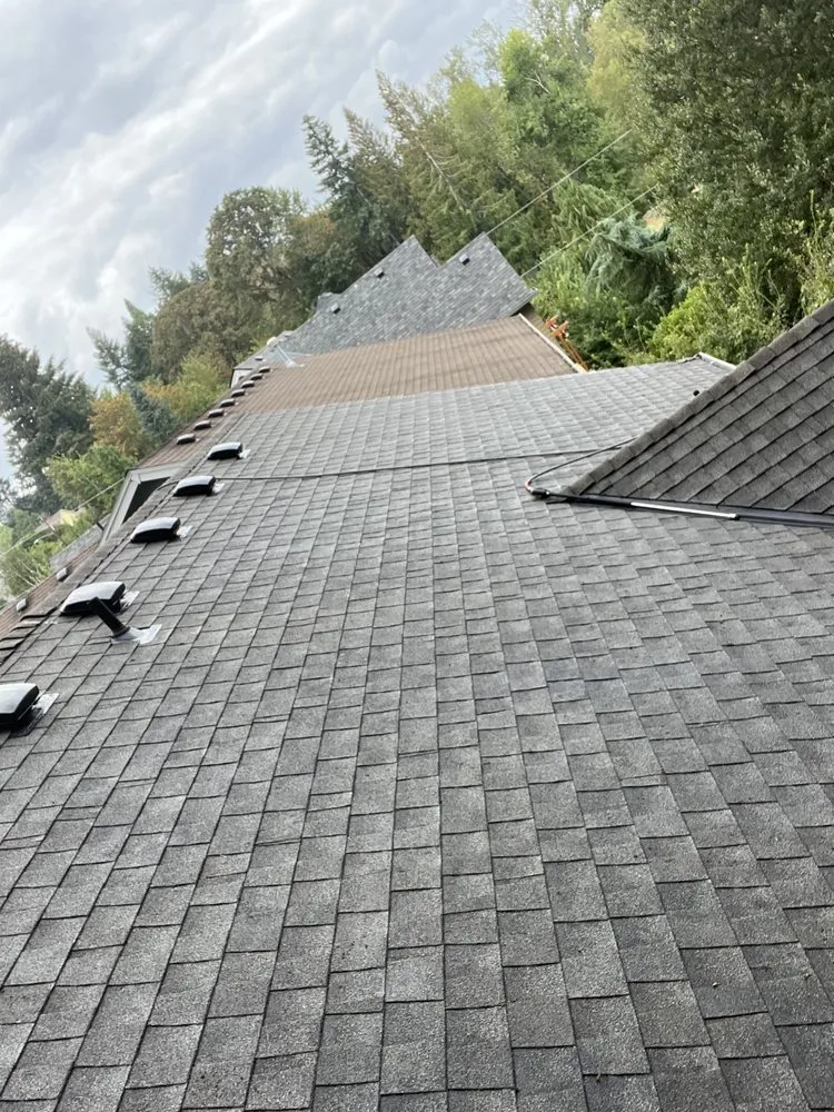 Slide of Moss Solutions