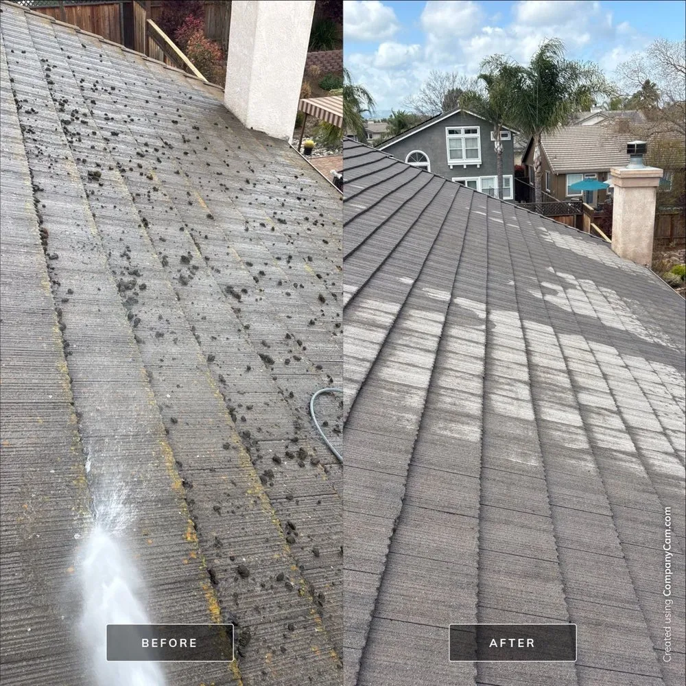 Slide of Moss X Roof Cleaning and Repair