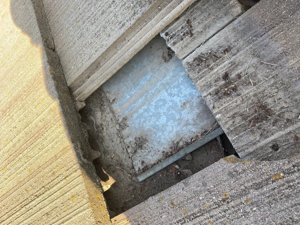 Slide of Moss X Roof Cleaning and Repair