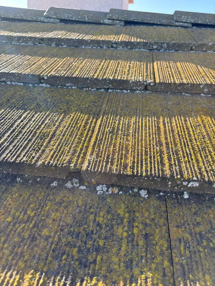 Slide of Moss X Roof Cleaning and Repair