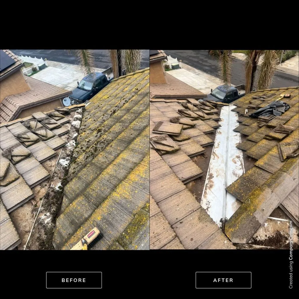 Slide of Moss X Roof Cleaning and Repair