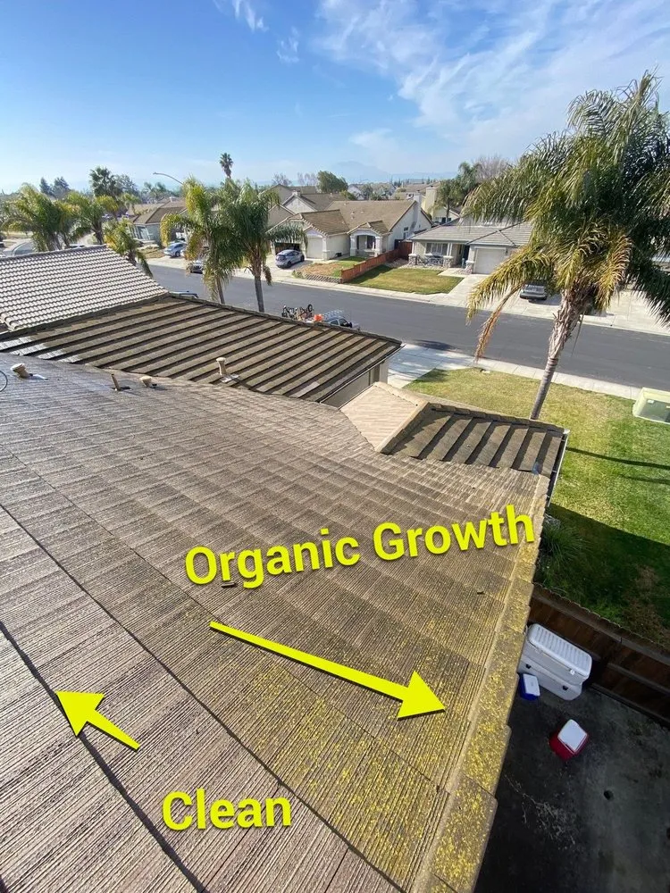 Slide of Moss X Roof Cleaning and Repair