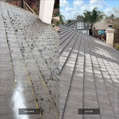 Moss X Roof Cleaning and Repair
