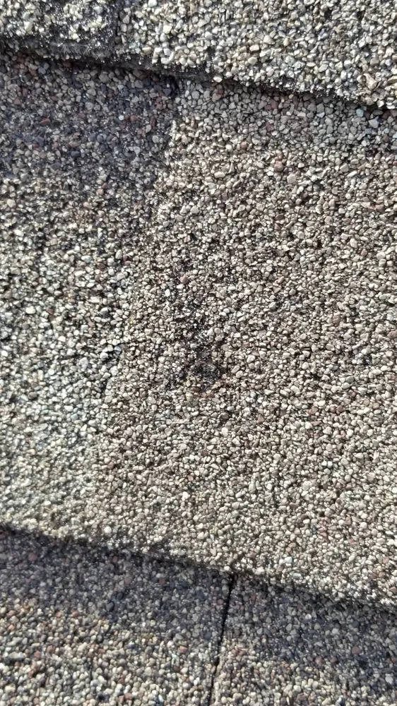 Slide of Mossible Solutions