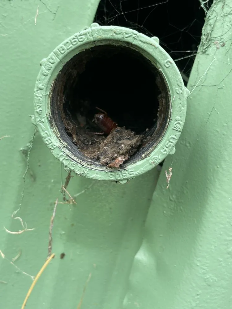 Slide of Motown Handyman