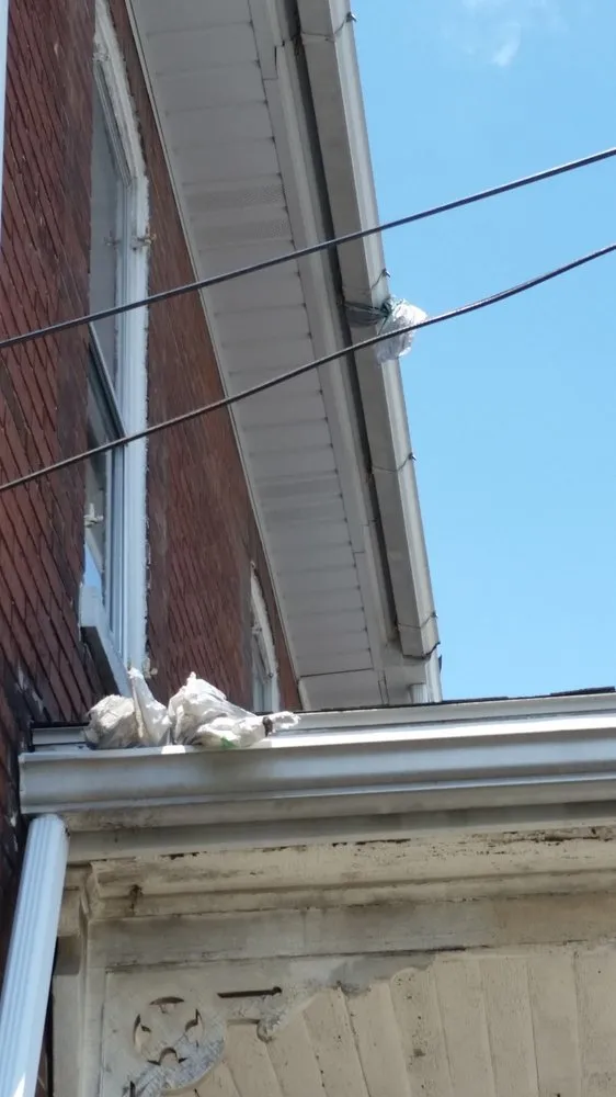 Slide of Mount Joy Roofing