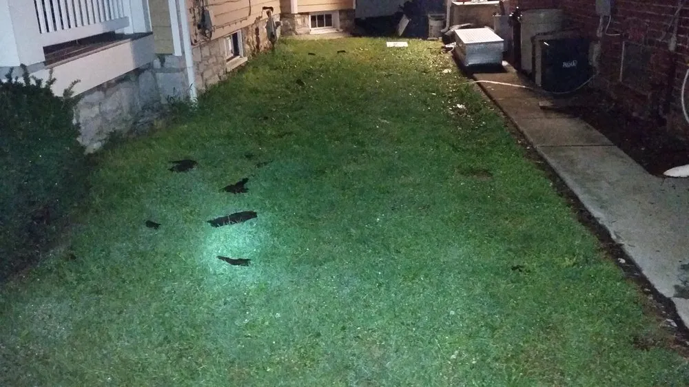 Slide of Mount Joy Roofing