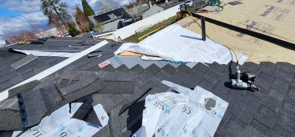 Slide of Mountain Bear Roofing