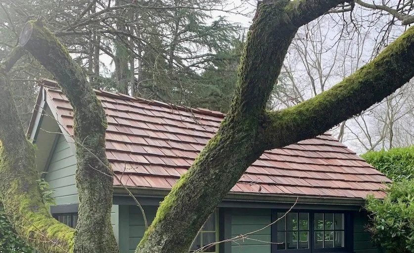 Slide of Mountain Goat Roofing