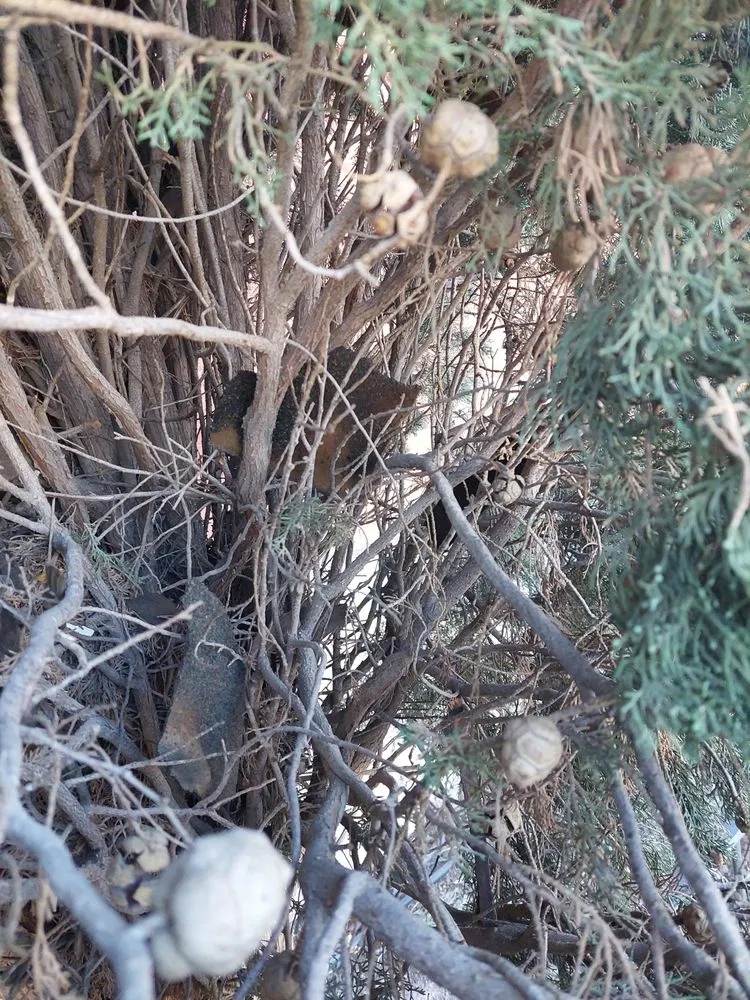 Slide of Mountain Star Roofing Systems