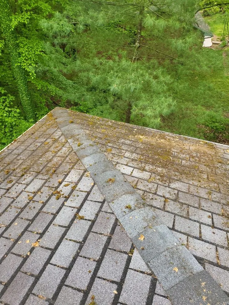 Slide of MOV Gutters & Construction