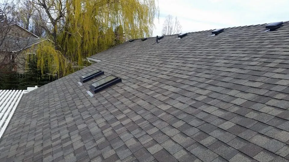 Slide of Mova Construction