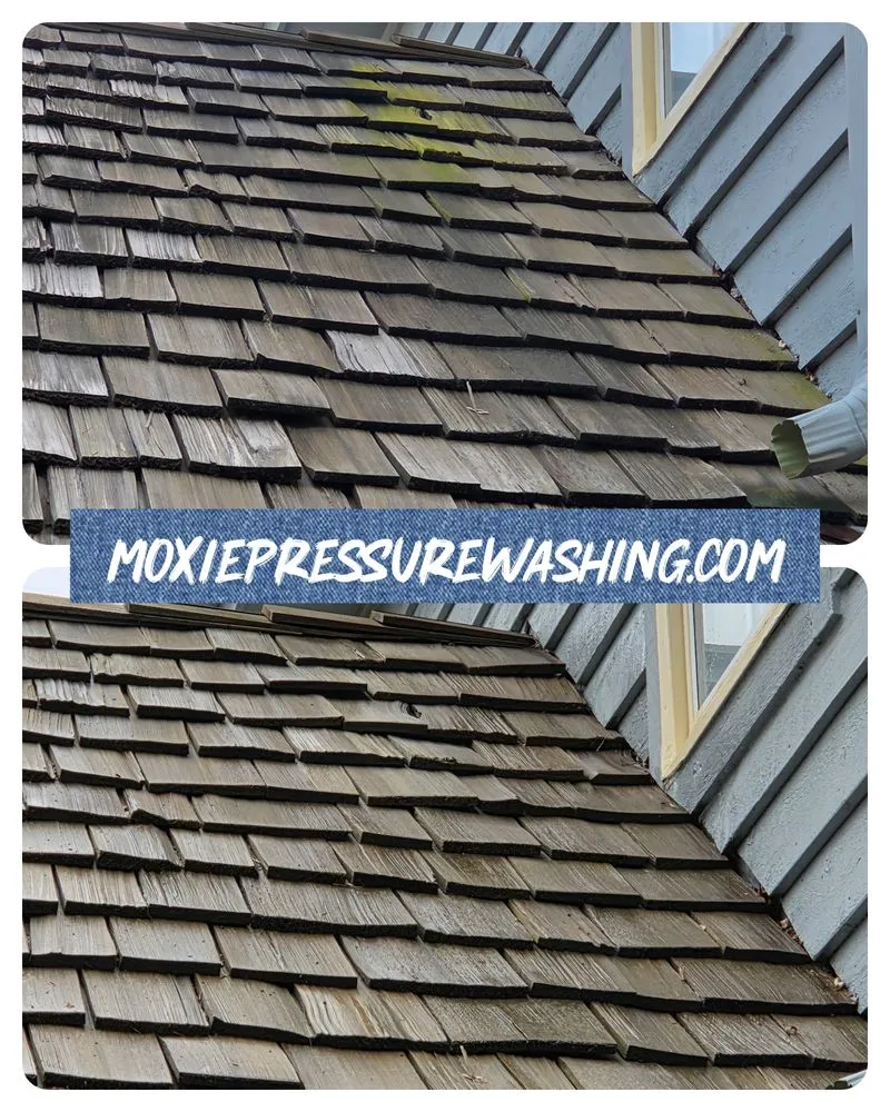 Slide of Moxie Pressure Washing