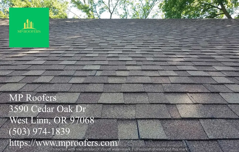 Slide of MP Roofers