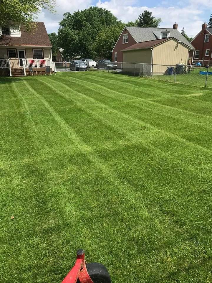 Slide of MP's Property Maintenance