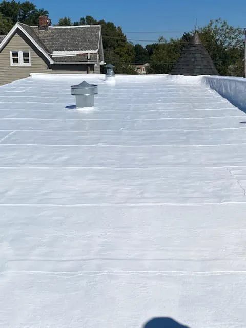 Slide of MP's Property Maintenance