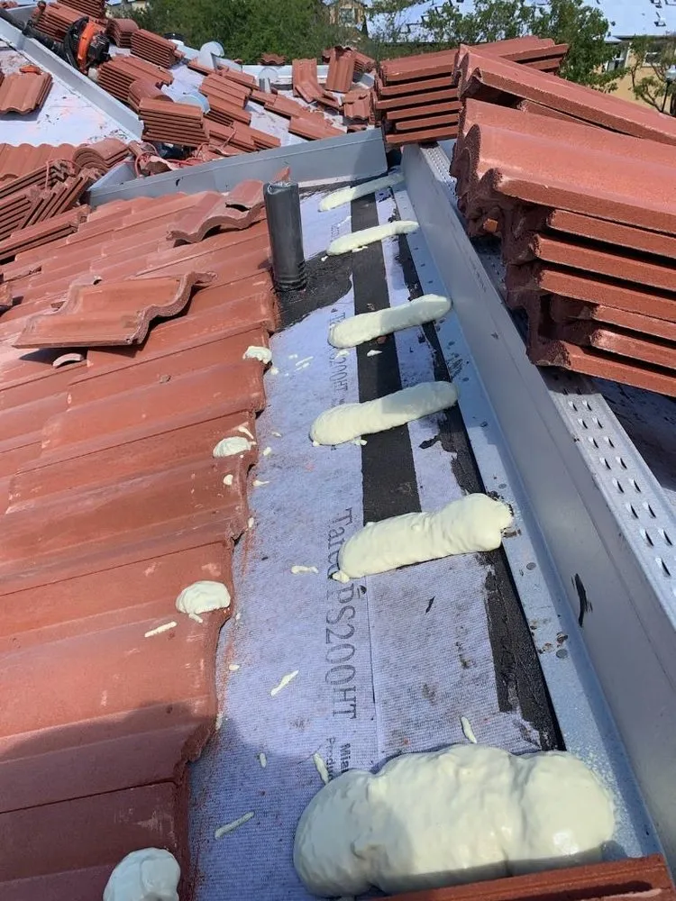 Slide of Mr. & Mrs. Shingles Roofing