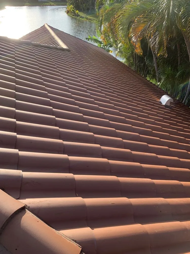 Slide of Mr. & Mrs. Shingles Roofing