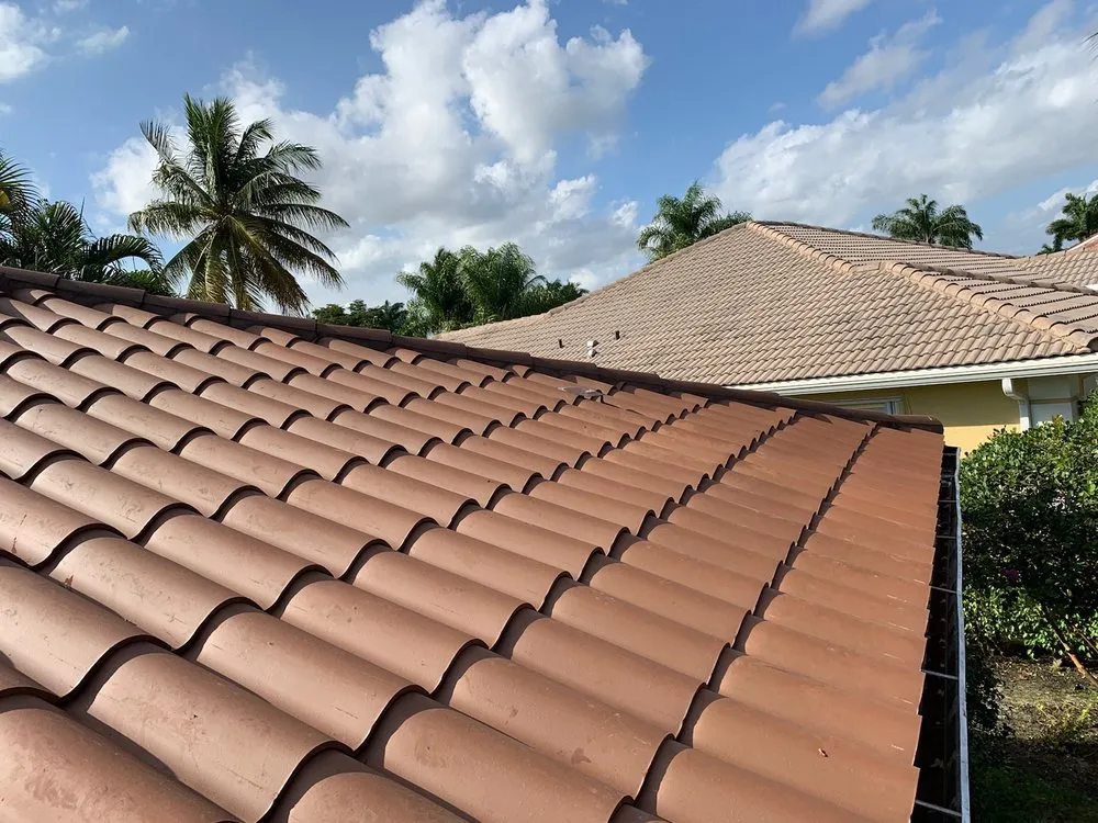 Slide of Mr. & Mrs. Shingles Roofing