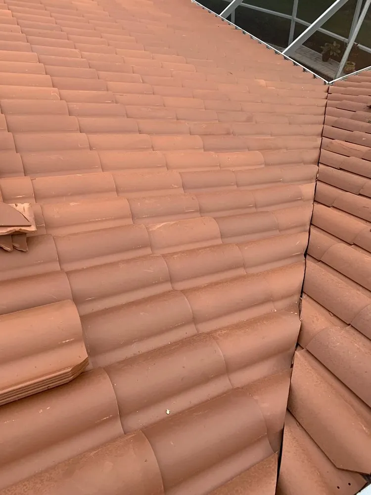 Slide of Mr. & Mrs. Shingles Roofing