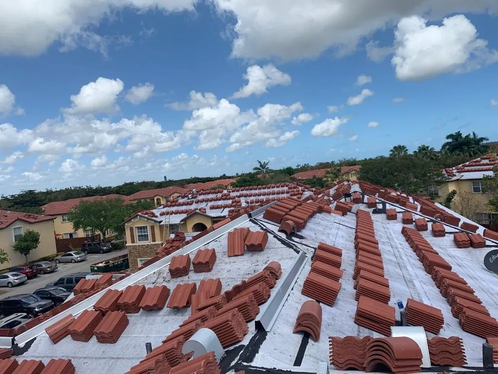 Slide of Mr. & Mrs. Shingles Roofing