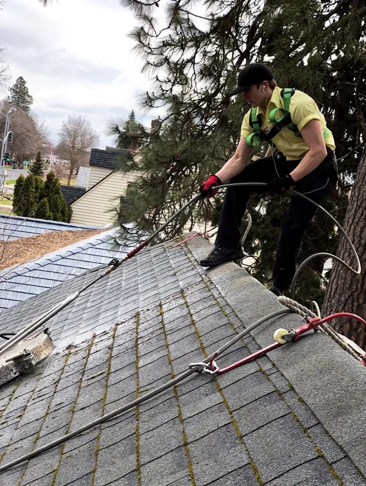 Slide of Mr. Chimney