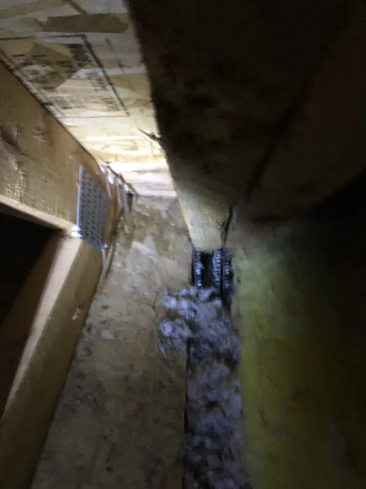 Slide of M.R. Chimney Sweep