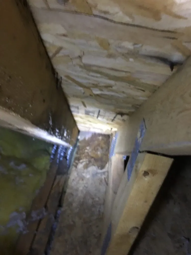 Slide of M.R. Chimney Sweep